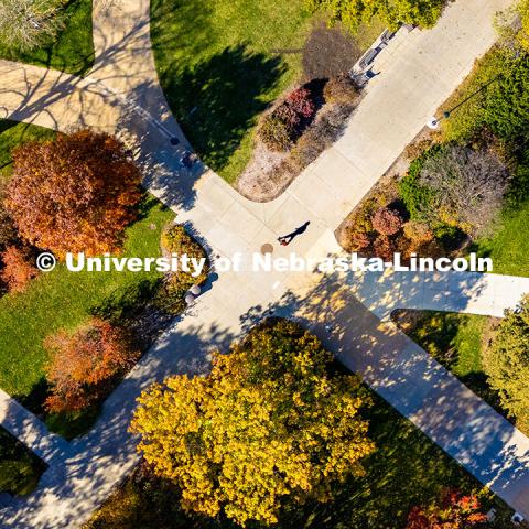 Students crossing campus on a sunny fall afternoon. November 11, 2024. Photo by Jordan Opp / University Communication and Marketing.